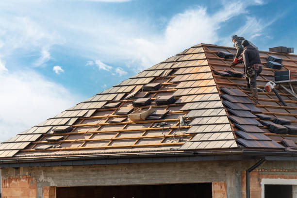 Best Gutter Installation and Repair  in Pine, AZ